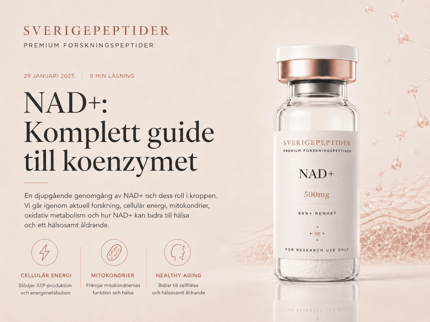 NAD+ 500mg: Komplett guide till koenzymet
